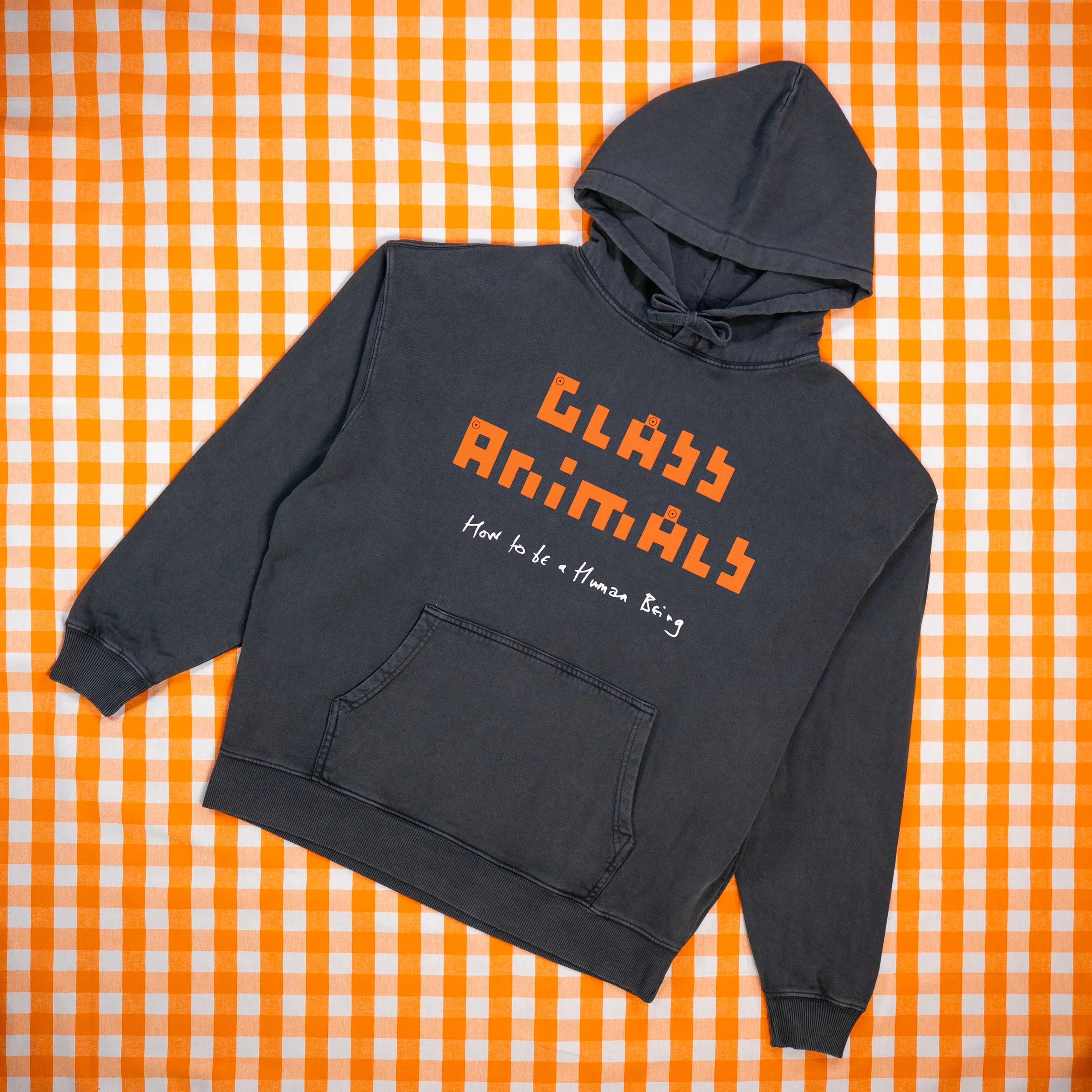How To Be A Human Being Black Hoodie Front on background