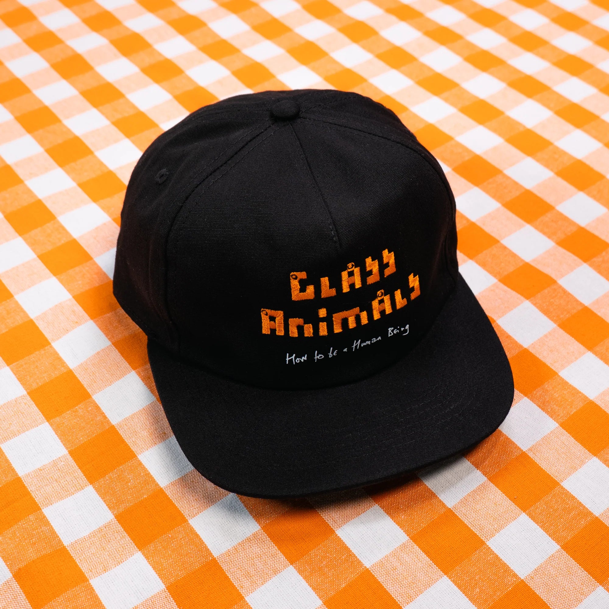 How To Be A Human Being Logo Cap
