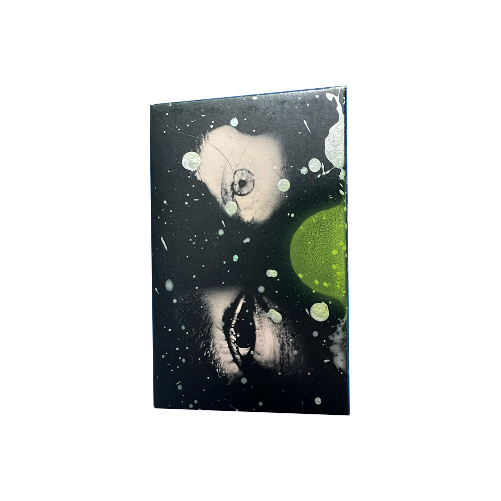 ILYSFM Dave Painted Cassette Glass Animals Official Store