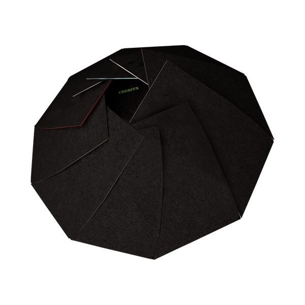 ILYSFM Decagon Vinyl LP Glass Animals Official Store