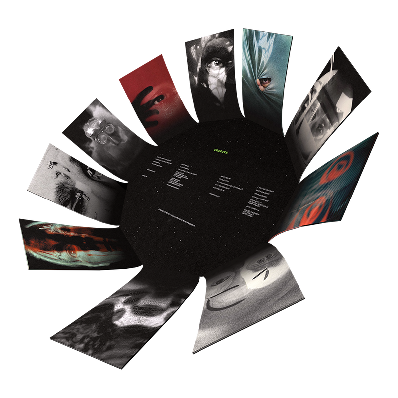 ILYSFM Decagon Vinyl LP Glass Animals Official Store