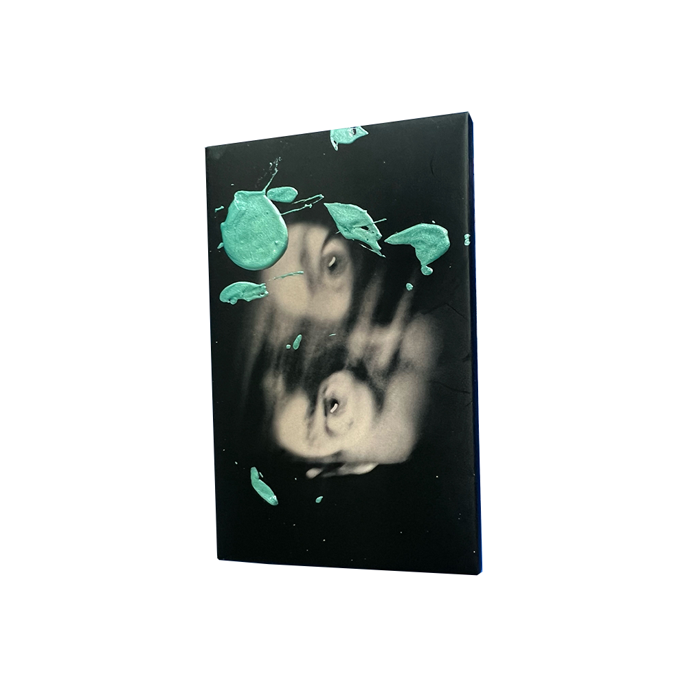 ILYSFM Drew Painted Cassette Glass Animals Official Store