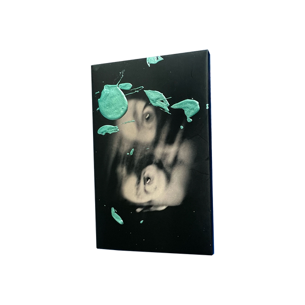 ILYSFM Drew Painted Cassette Glass Animals Official Store