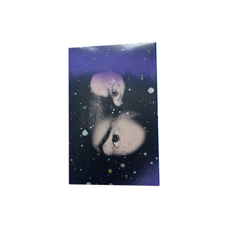 ILYSFM Joe Painted Cassette Glass Animals Official Store